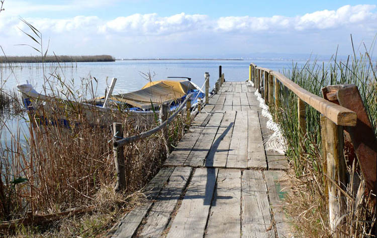Foto de Valencia (València), España
