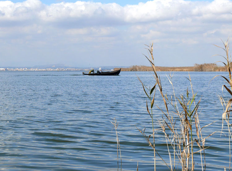 Foto de Valencia (València), España