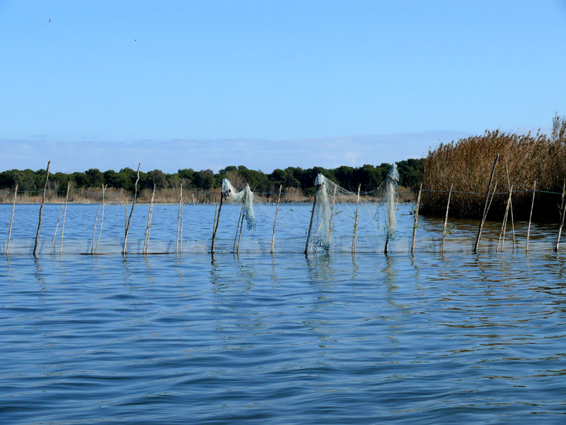 Foto de Valencia (València), España