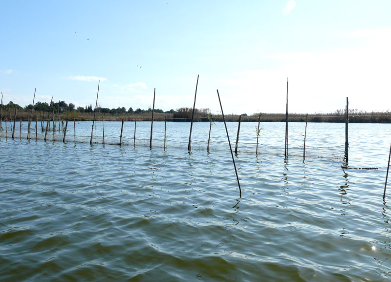 Foto de Valencia (València), España