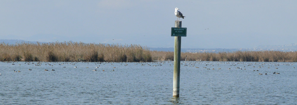 Foto de Valencia (València), España
