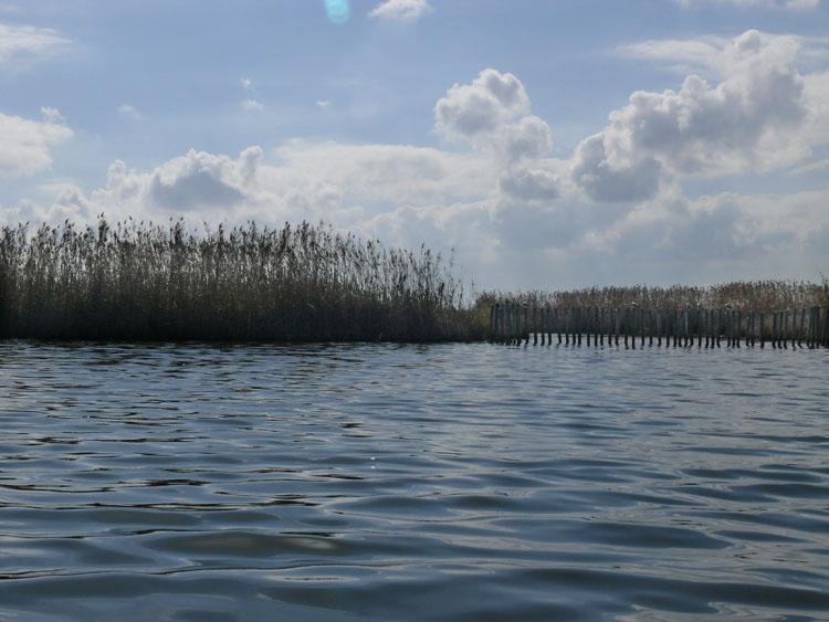 Foto de Valencia (València), España