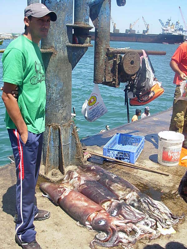 Foto de San Antonio, Chile