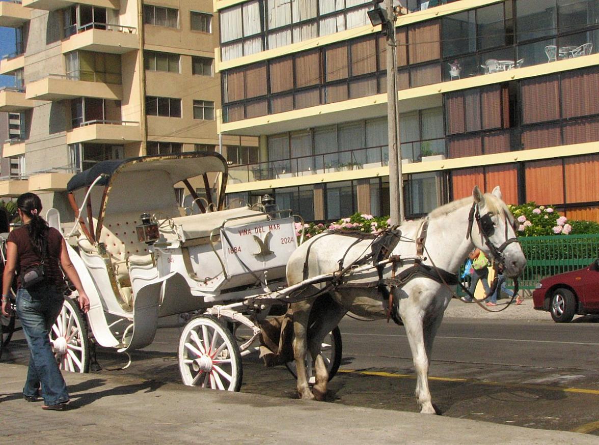 Foto de Viña del Mar, Chile