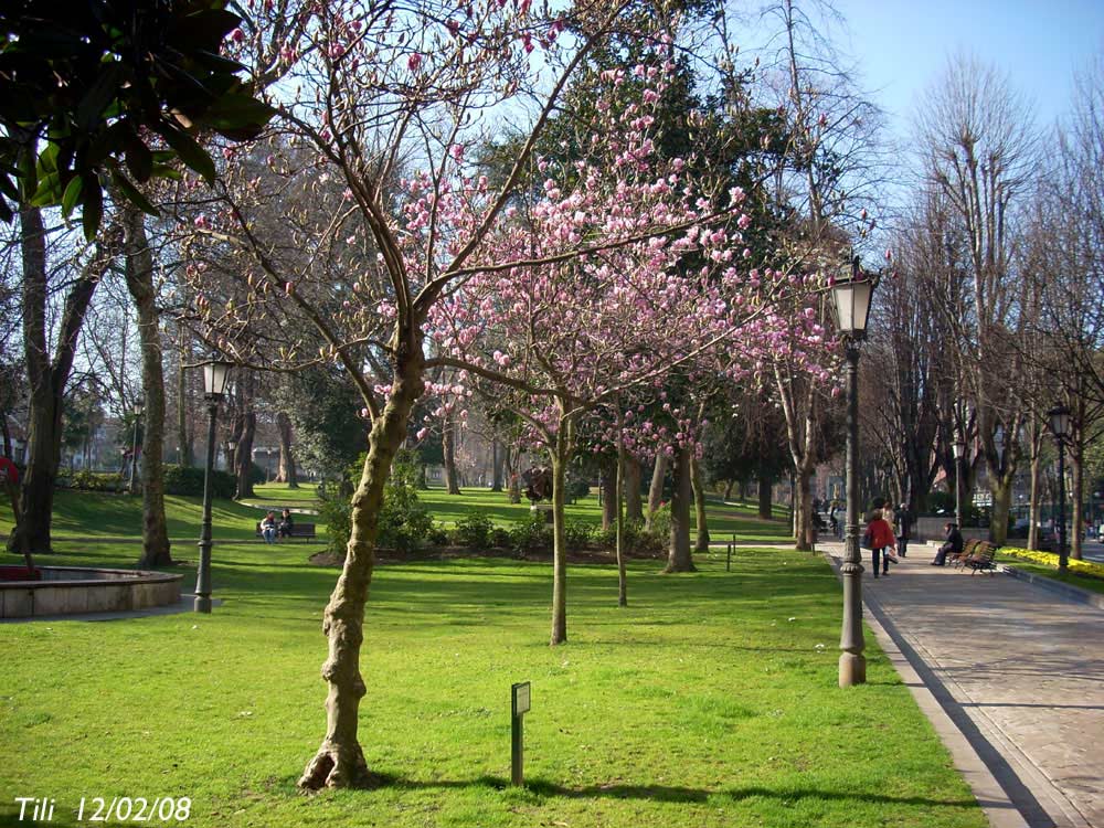 Foto de Oviedo (Asturias), España