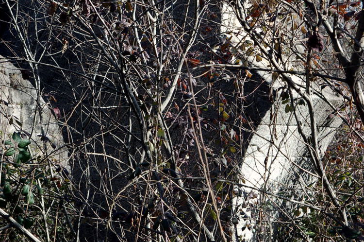 Foto de San Lorenzo de El Escorial (Madrid), España