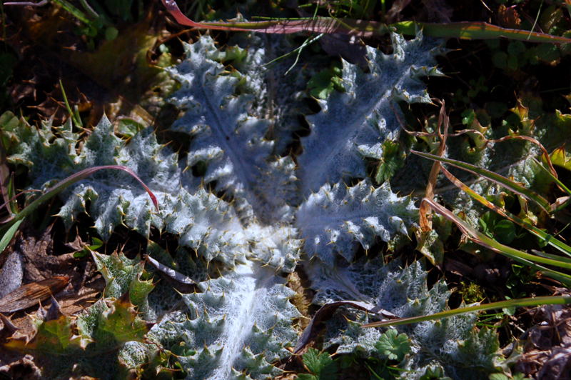 Foto de San Lorenzo de El Escorial (Madrid), España