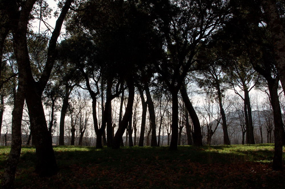Foto de San Lorenzo de El Escorial (Madrid), España