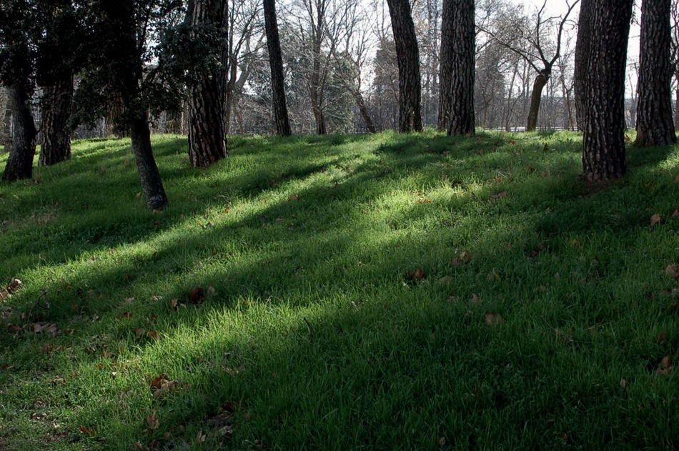 Foto de San Lorenzo de El Escorial (Madrid), España