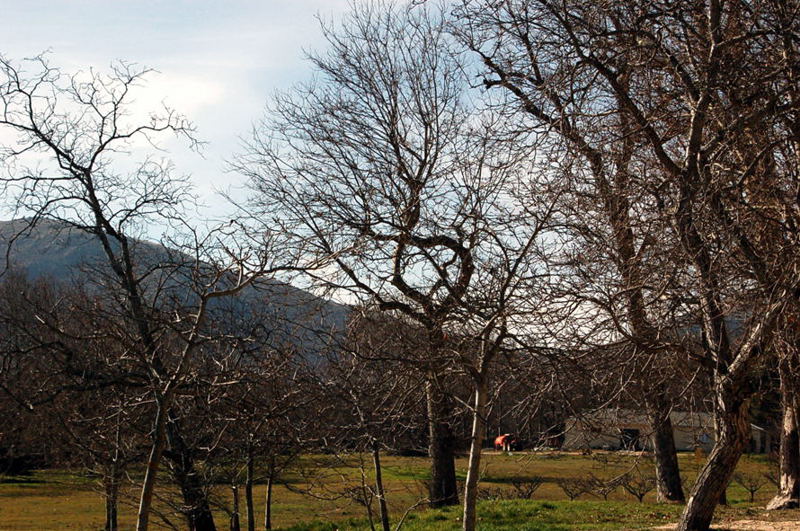 Foto de San Lorenzo de El Escorial (Madrid), España