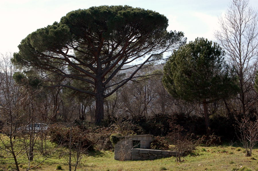 Foto de San Lorenzo de El Escorial (Madrid), España