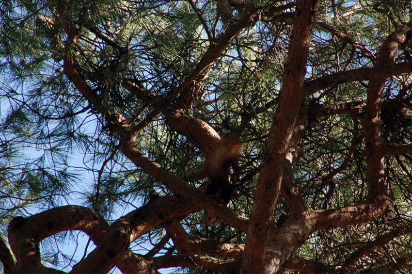 Foto de San Lorenzo de El Escorial (Madrid), España