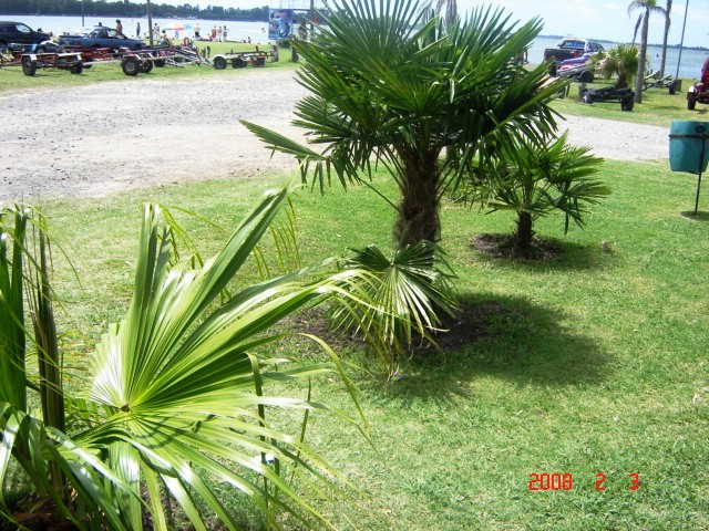 Foto de Lobos, Buenos Aires, Argentina
