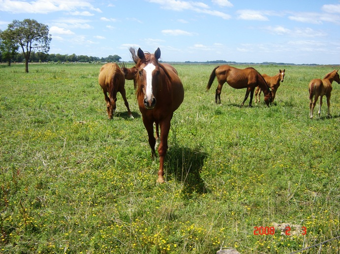 Foto de Lobos, Buenos Aires, Argentina