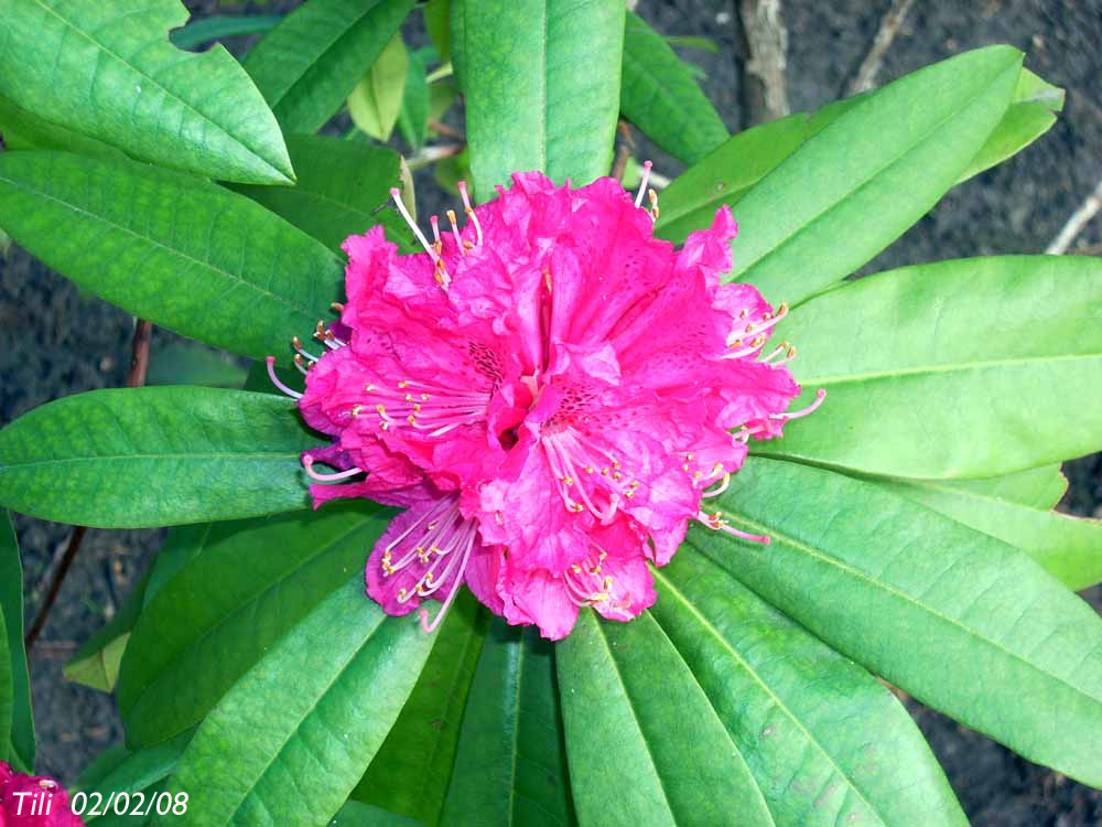 Foto de Oviedo (Asturias), España