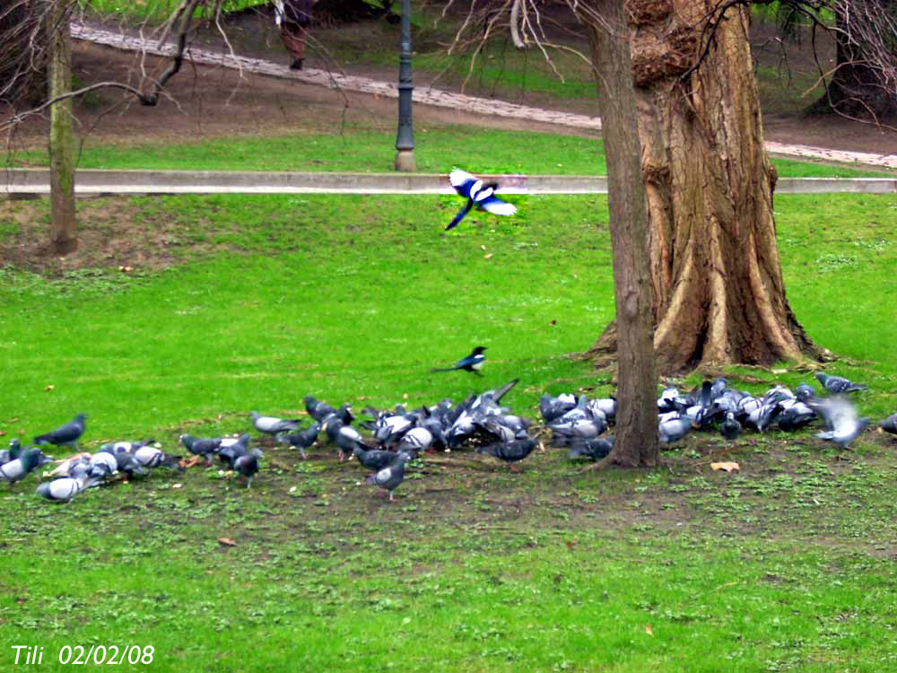 Foto de Oviedo (Asturias), España