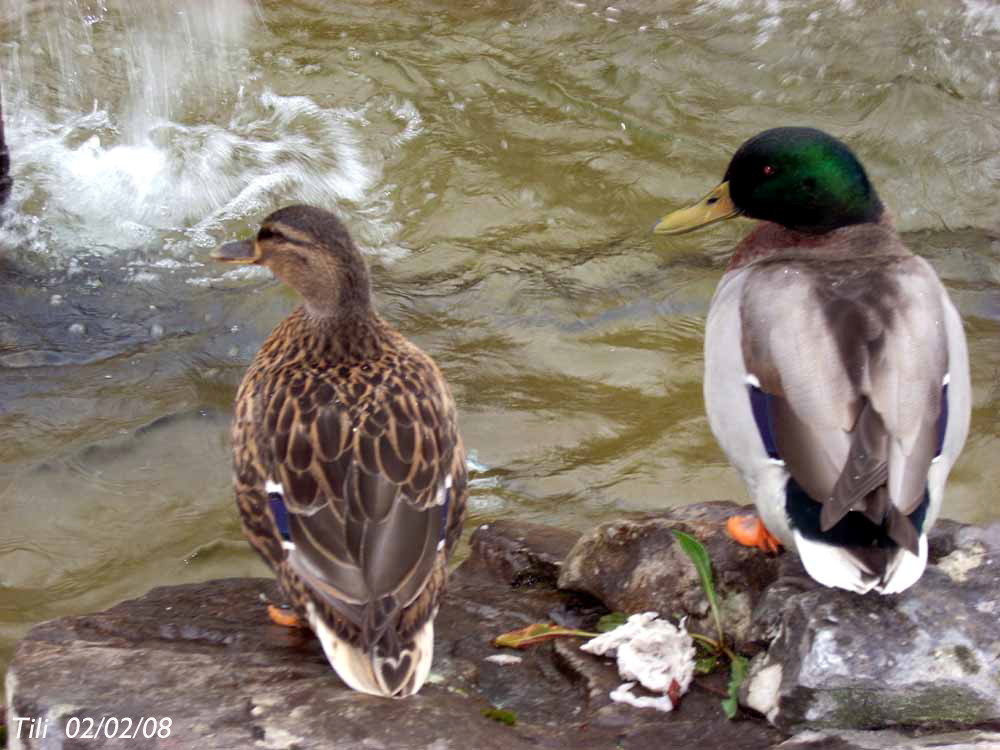 Foto de Oviedo (Asturias), España