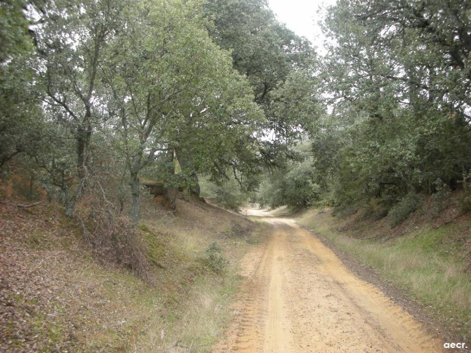 Foto de Orejana (Segovia), España