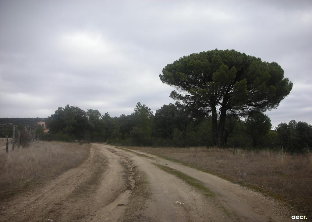 Foto de Orejana (Segovia), España