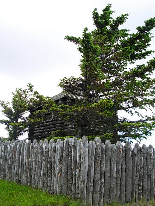 Foto de Punta Arenas, Chile