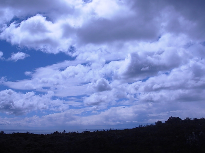 Foto de Punta Arenas, Chile