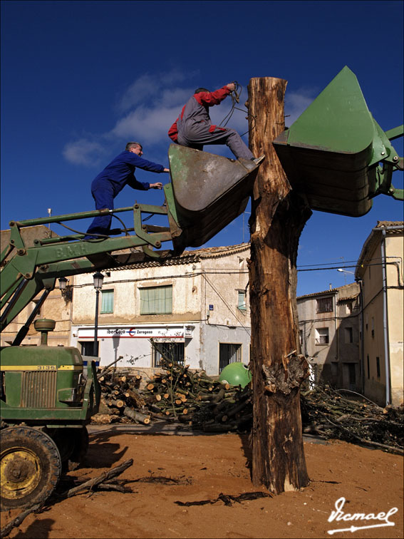 Foto de Alconchel de Ariza (Zaragoza), España