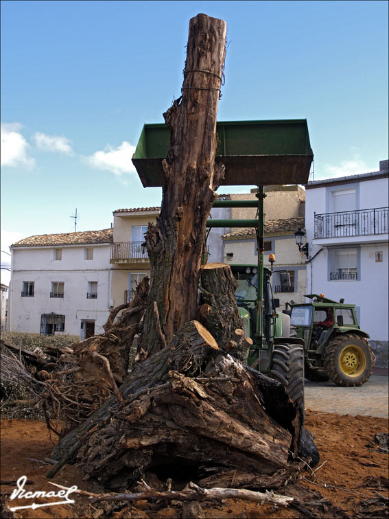 Foto de Alconchel de Ariza (Zaragoza), España