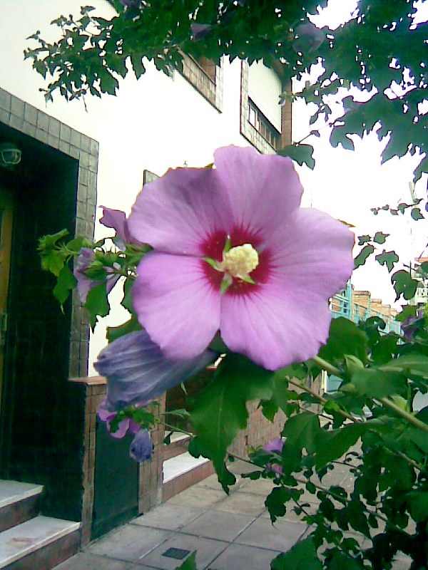 Foto de Buenos Aires, Argentina