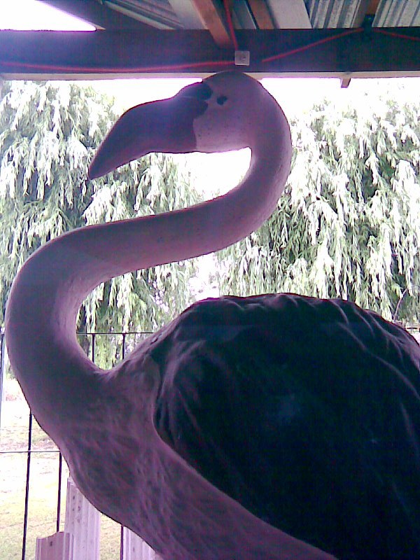 Foto de Lobos, Buenos Aires, Argentina