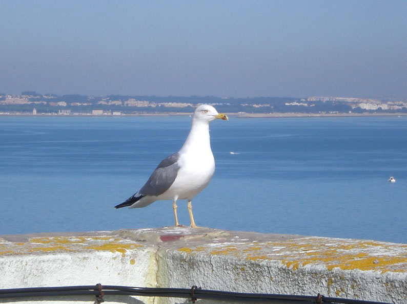 Foto de Cádiz (Andalucía), España