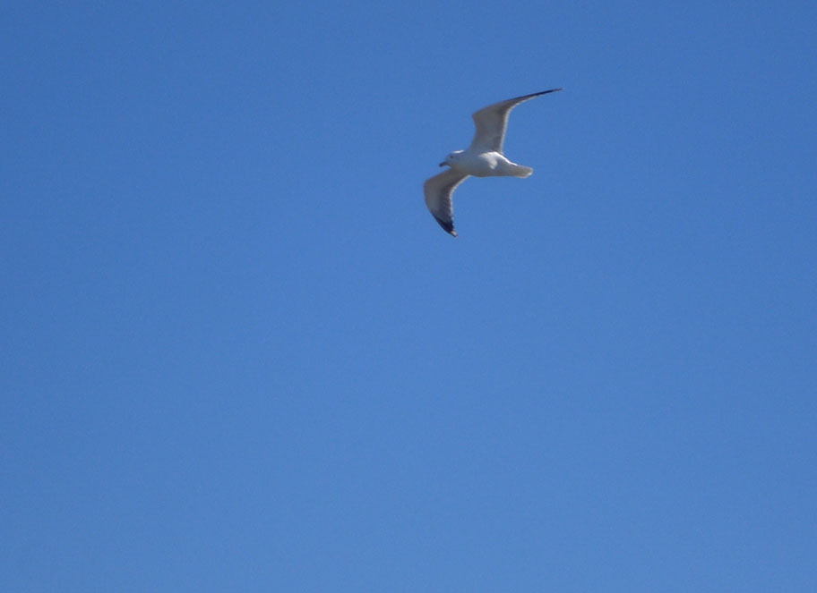 Foto de Cádiz (Andalucía), España