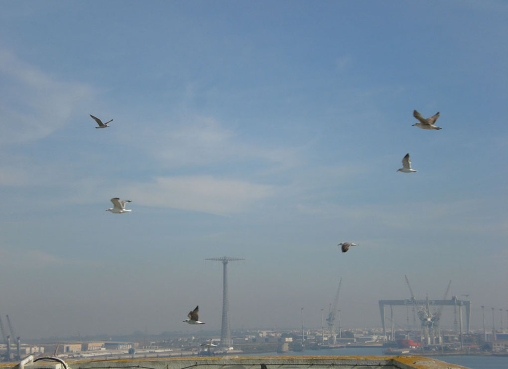 Foto de Cádiz (Andalucía), España