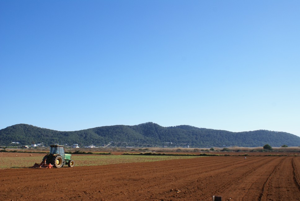 Foto de Ibiza - Eivissa (Illes Balears), España