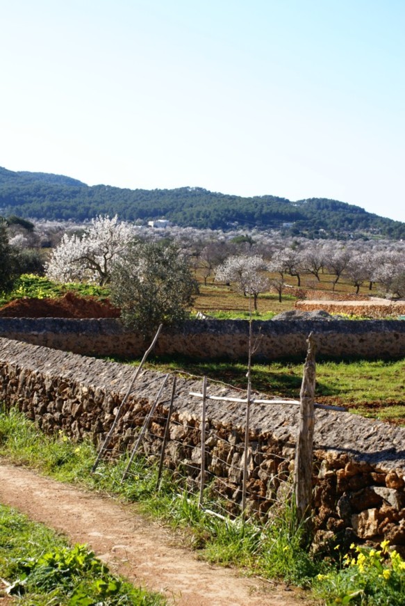 Foto de Ibiza - Eivissa (Illes Balears), España
