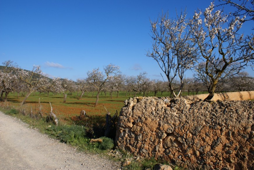 Foto de Ibiza - Eivissa (Illes Balears), España