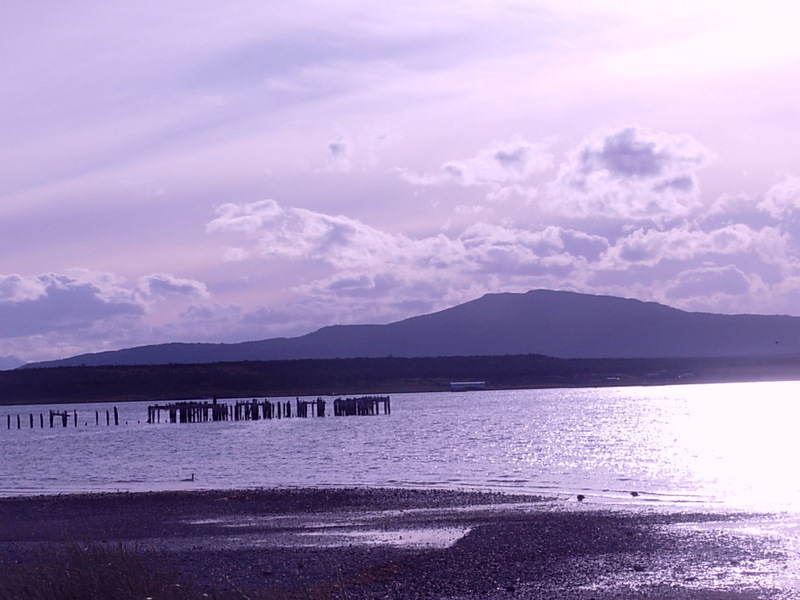 Foto de Puerto Natales, Chile