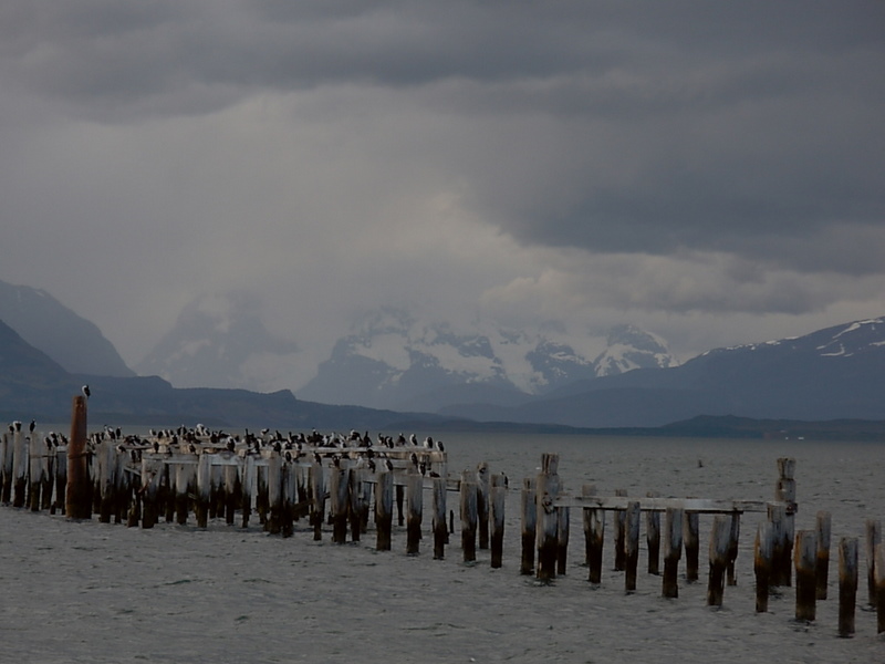 Foto de Puerto Natales, Chile