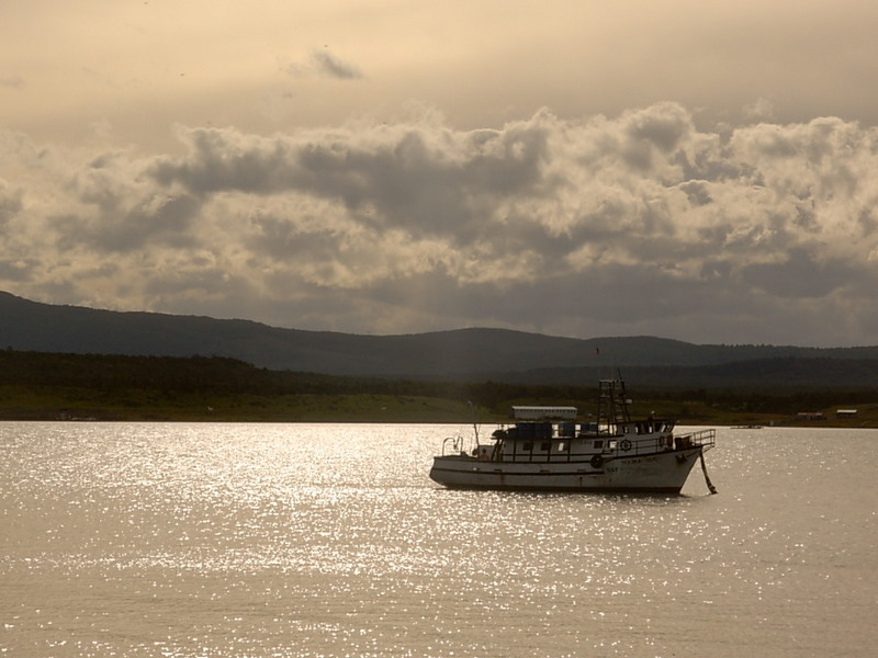 Foto de Puerto Natales, Chile