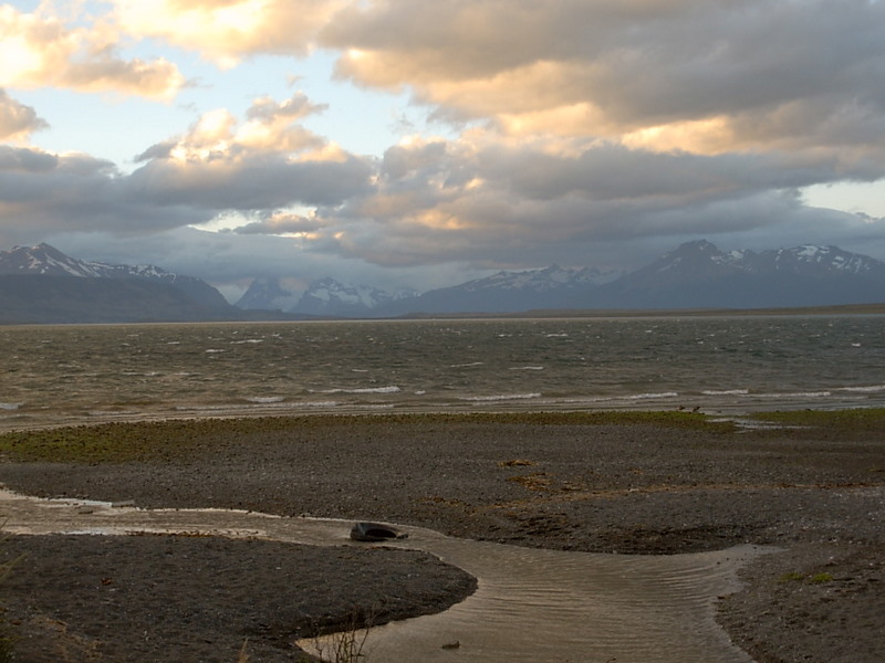 Foto de Puerto Natales, Chile