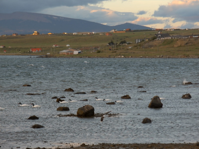 Foto de Puerto Natales, Chile