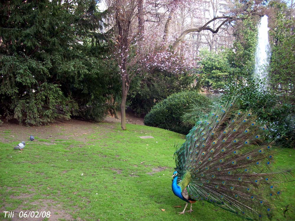 Foto de Oviedo (Asturias), España