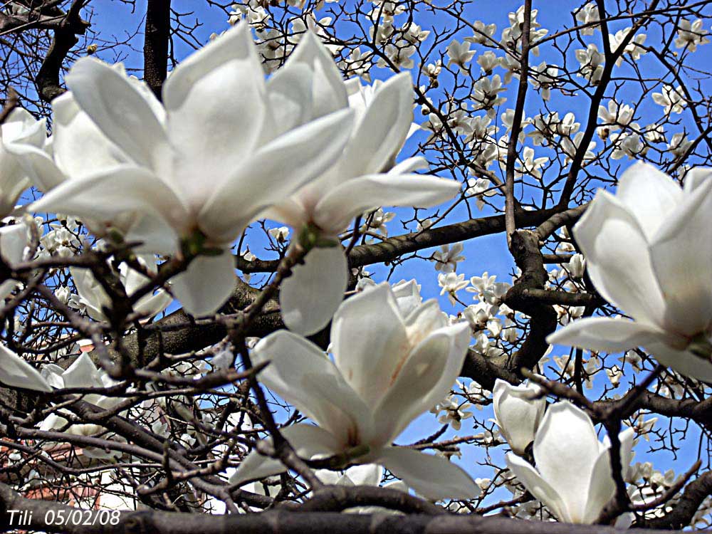 Foto de Oviedo (Asturias), España