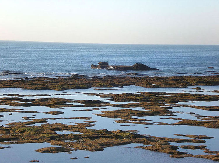 Foto de Cádiz (Andalucía), España
