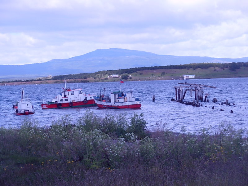 Foto de Puerto Natales, Chile
