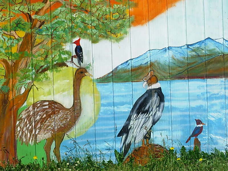 Foto de Puerto Natales, Chile