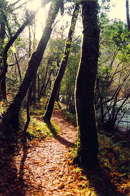 Foto de Pontedeume (A Coruña), España