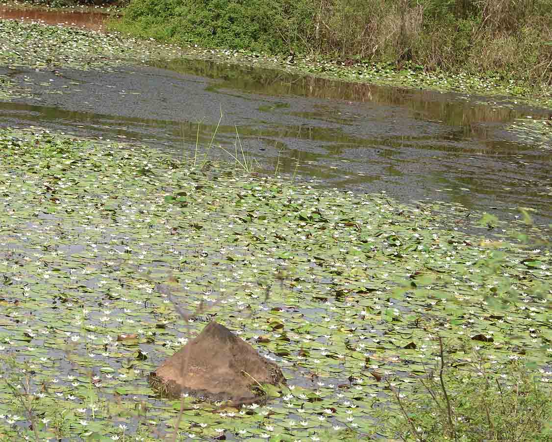 Foto de Guatuso, Costa Rica
