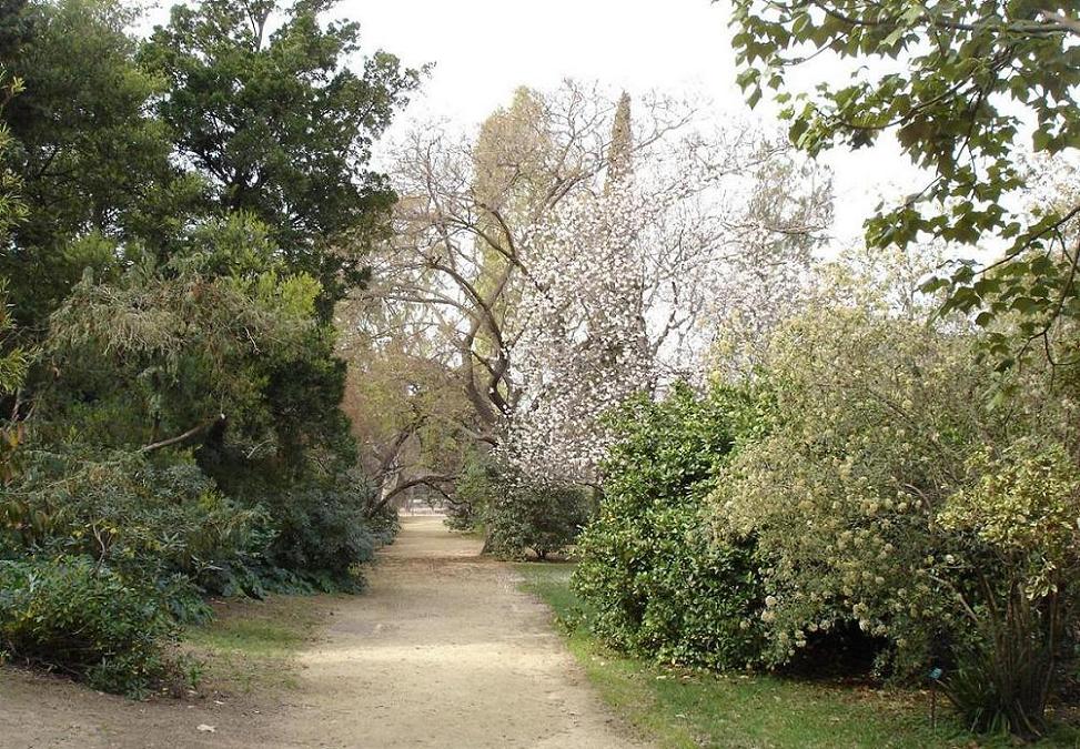 Foto de Barcelona (Cataluña), España