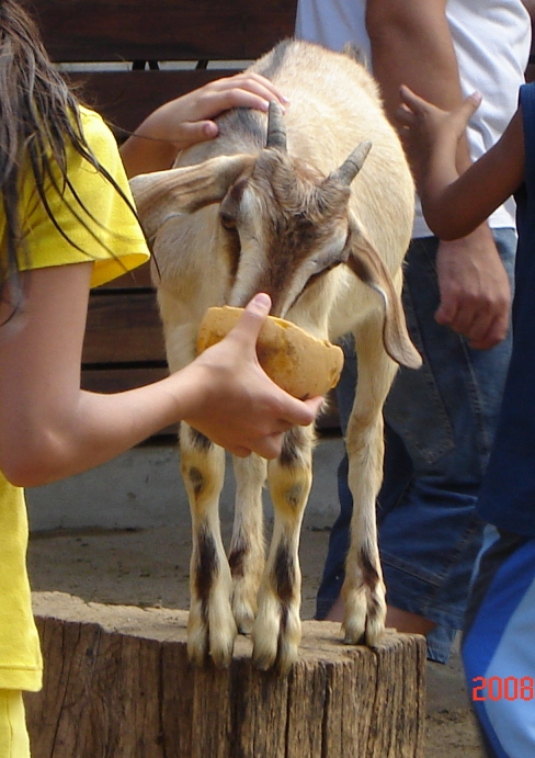 Foto de Escobar, Buenos Aires, Argentina