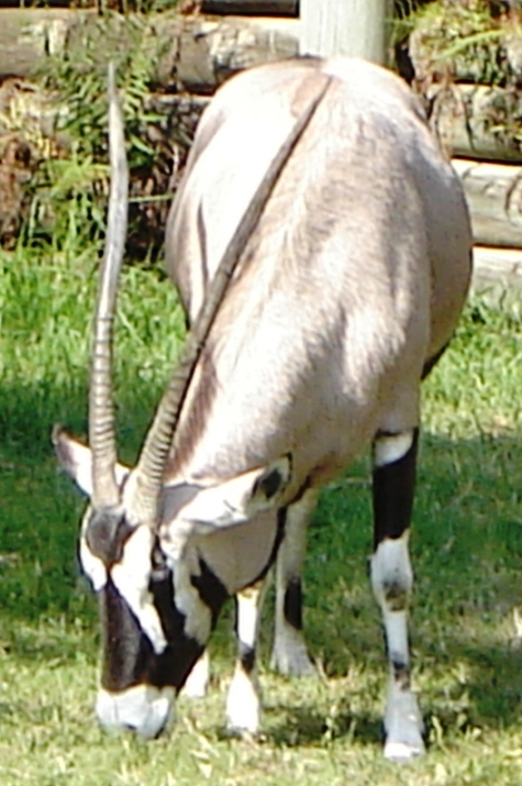 Foto de Escobar, Buenos Aires, Argentina